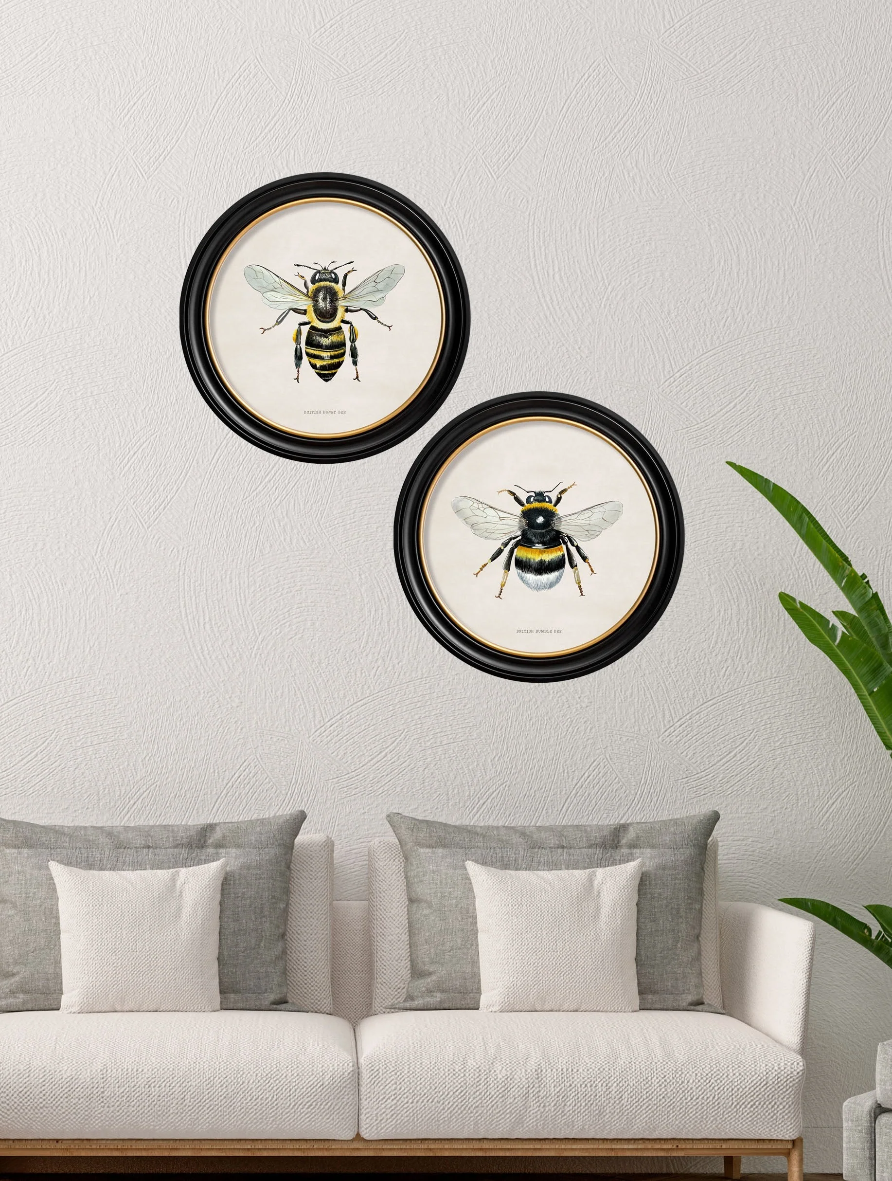 British Bees with White Background – Oxford Round Framed Print - Image 4