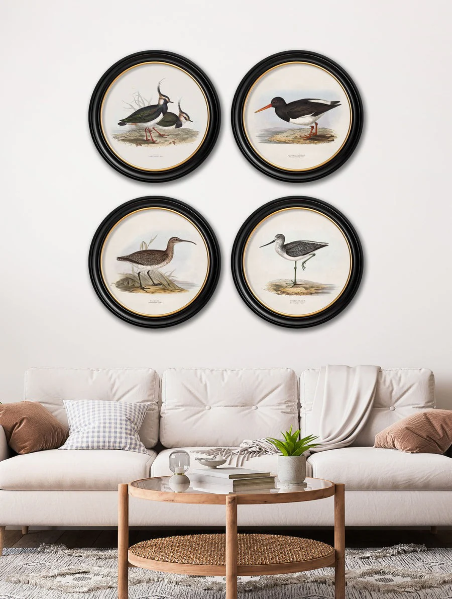 British Coastal Birds – Oxford Round Framed Print - Image 6