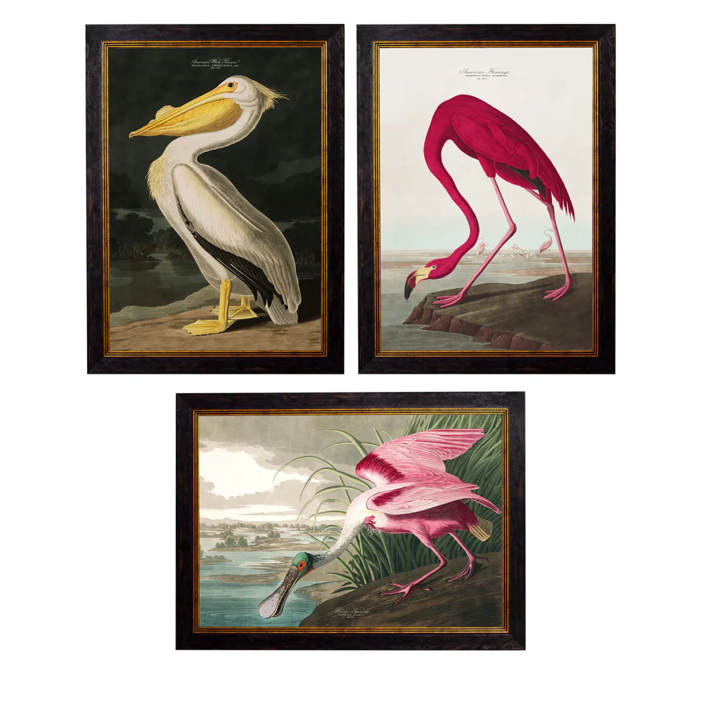 c.1838 Audubon's Birds of America
