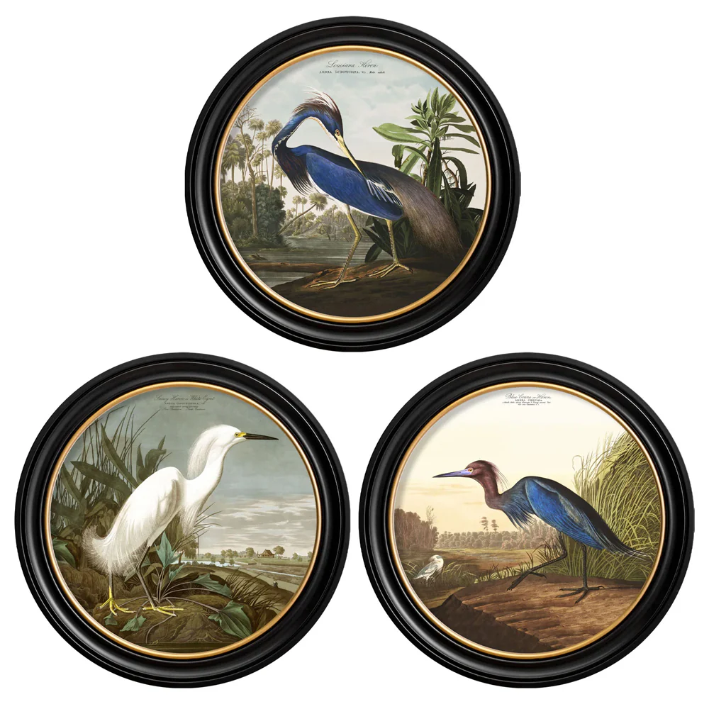 c.1838 Audubon's Herons in Round Frames