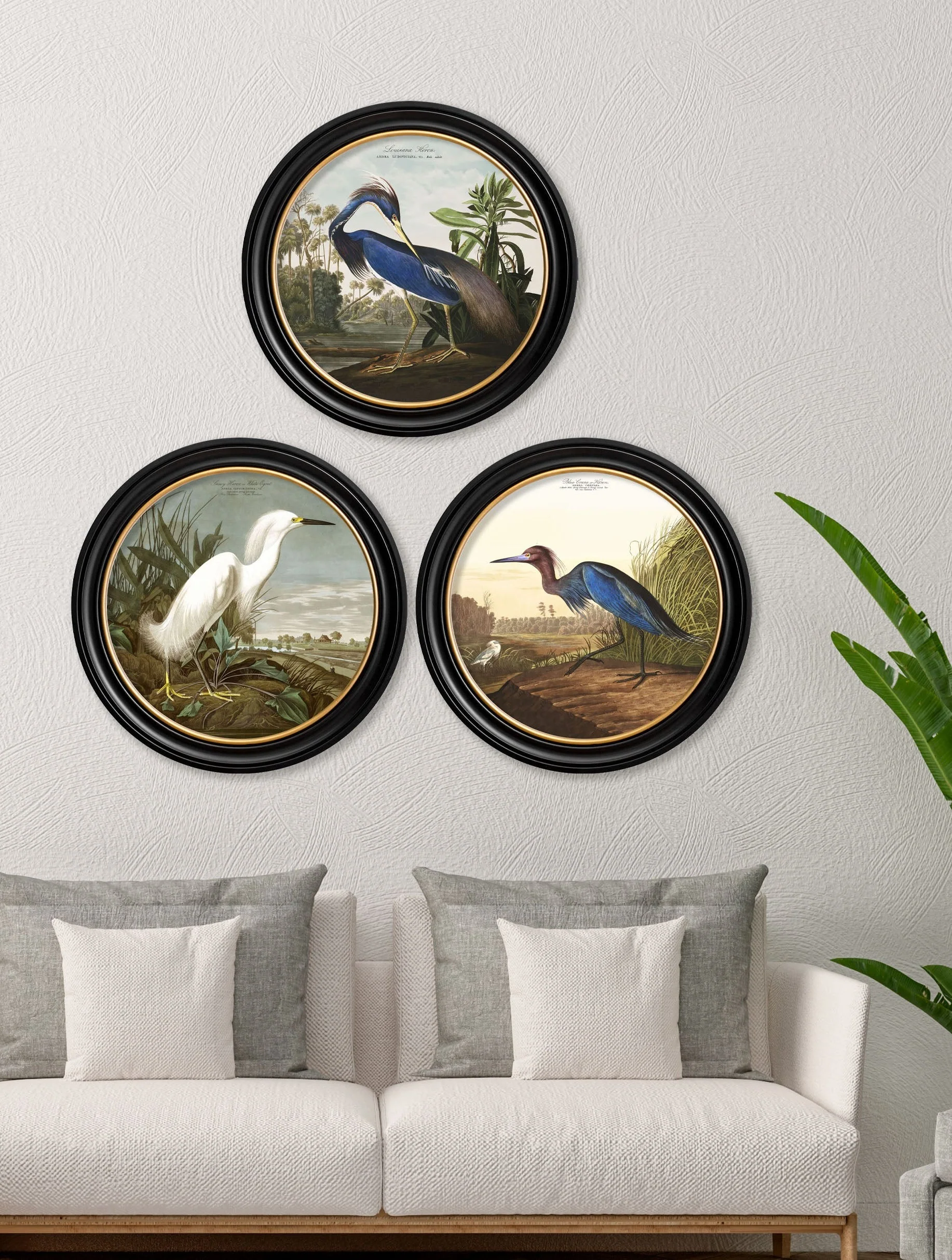 c.1838 Audubon's Herons in Round Frames - Image 5