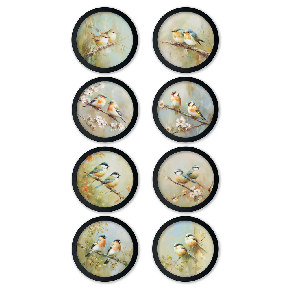 Garden Birds Print – Black Round Box Frame – Set of 8