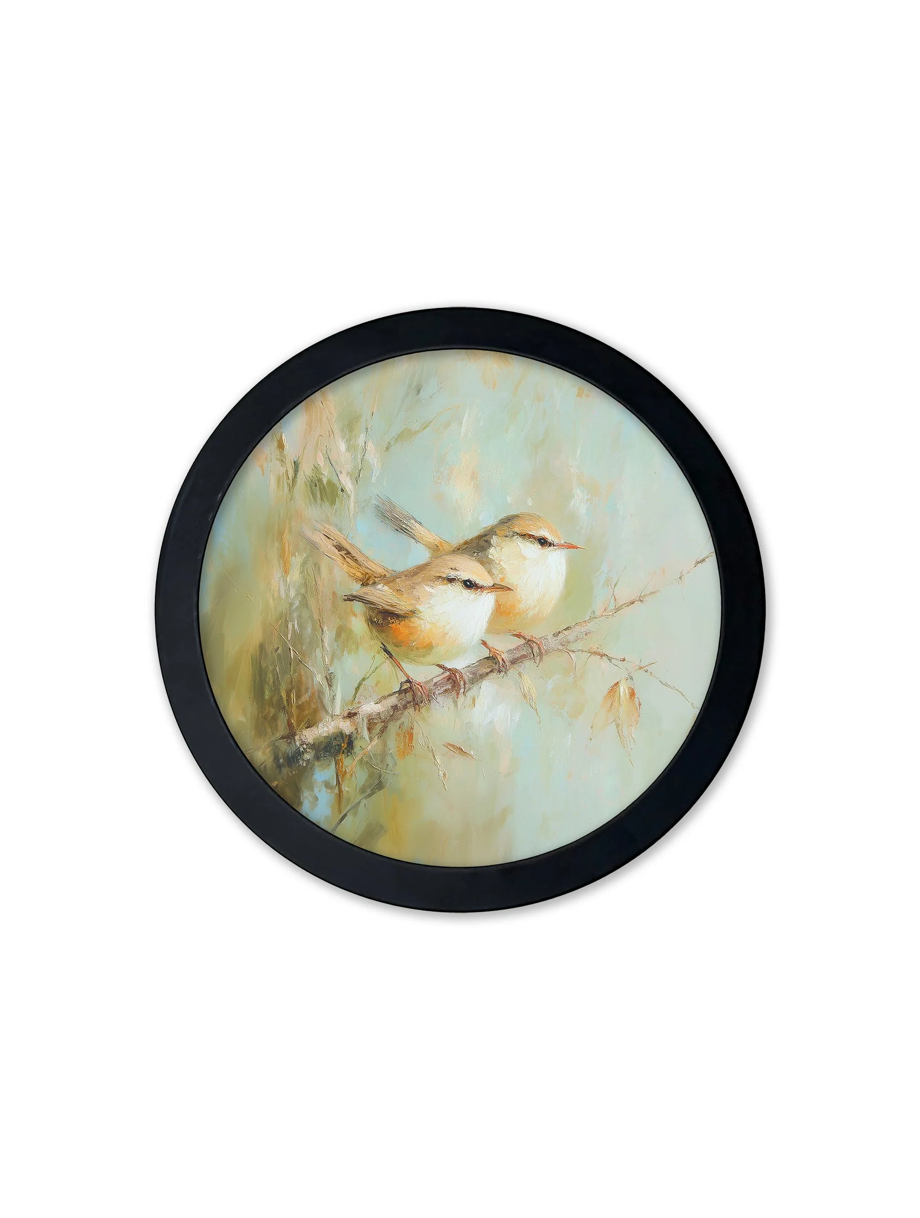 Garden Birds Print – Black Round Box Frame – Set of 8 - Image 2