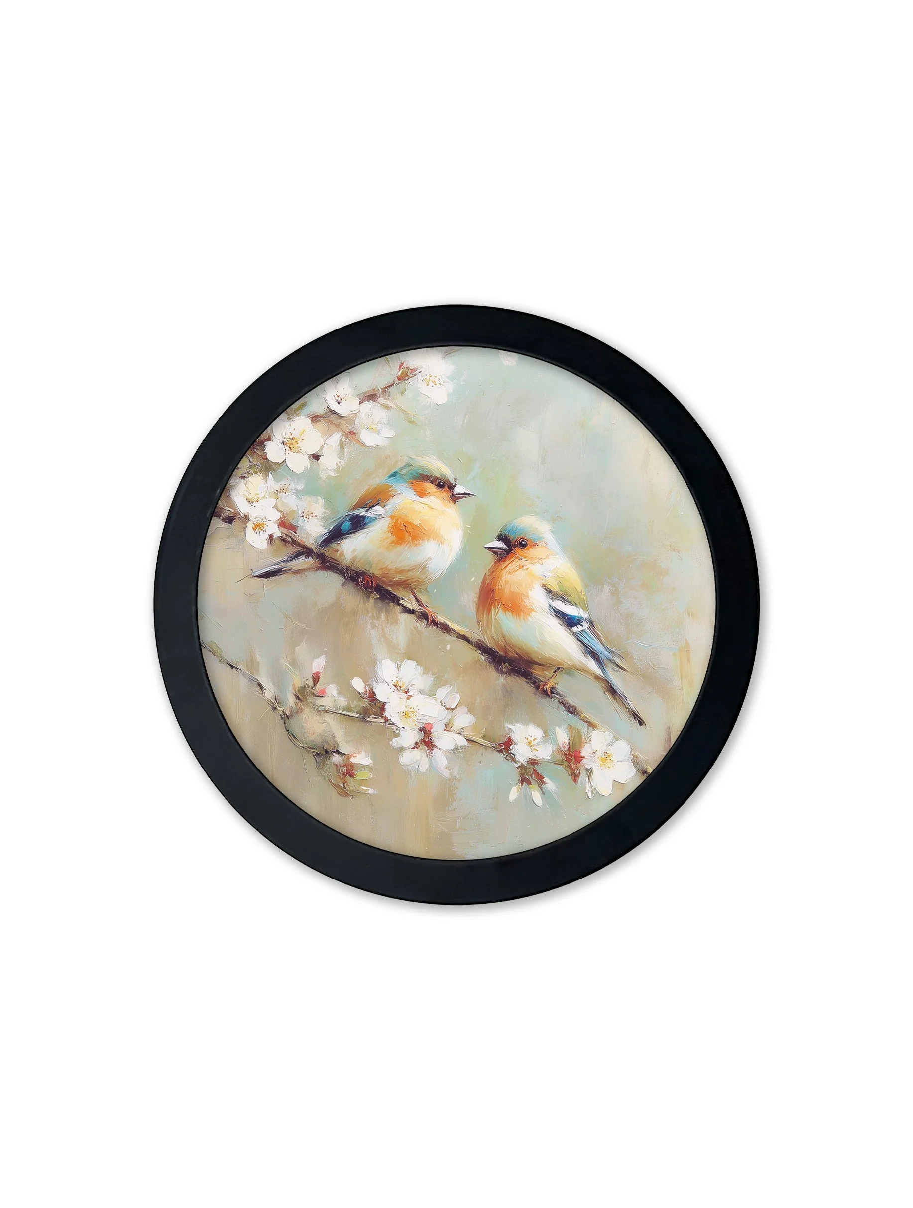 Garden Birds Print – Black Round Box Frame – Set of 8 - Image 4