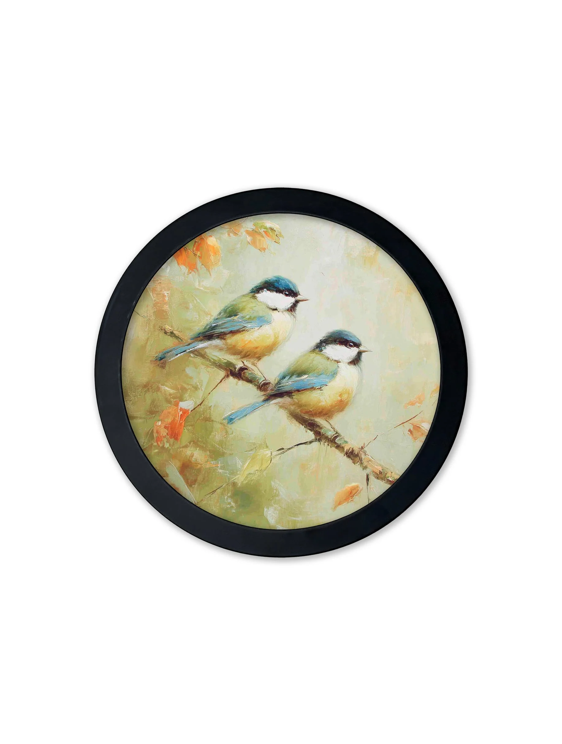 Garden Birds Print – Black Round Box Frame – Set of 8 - Image 6