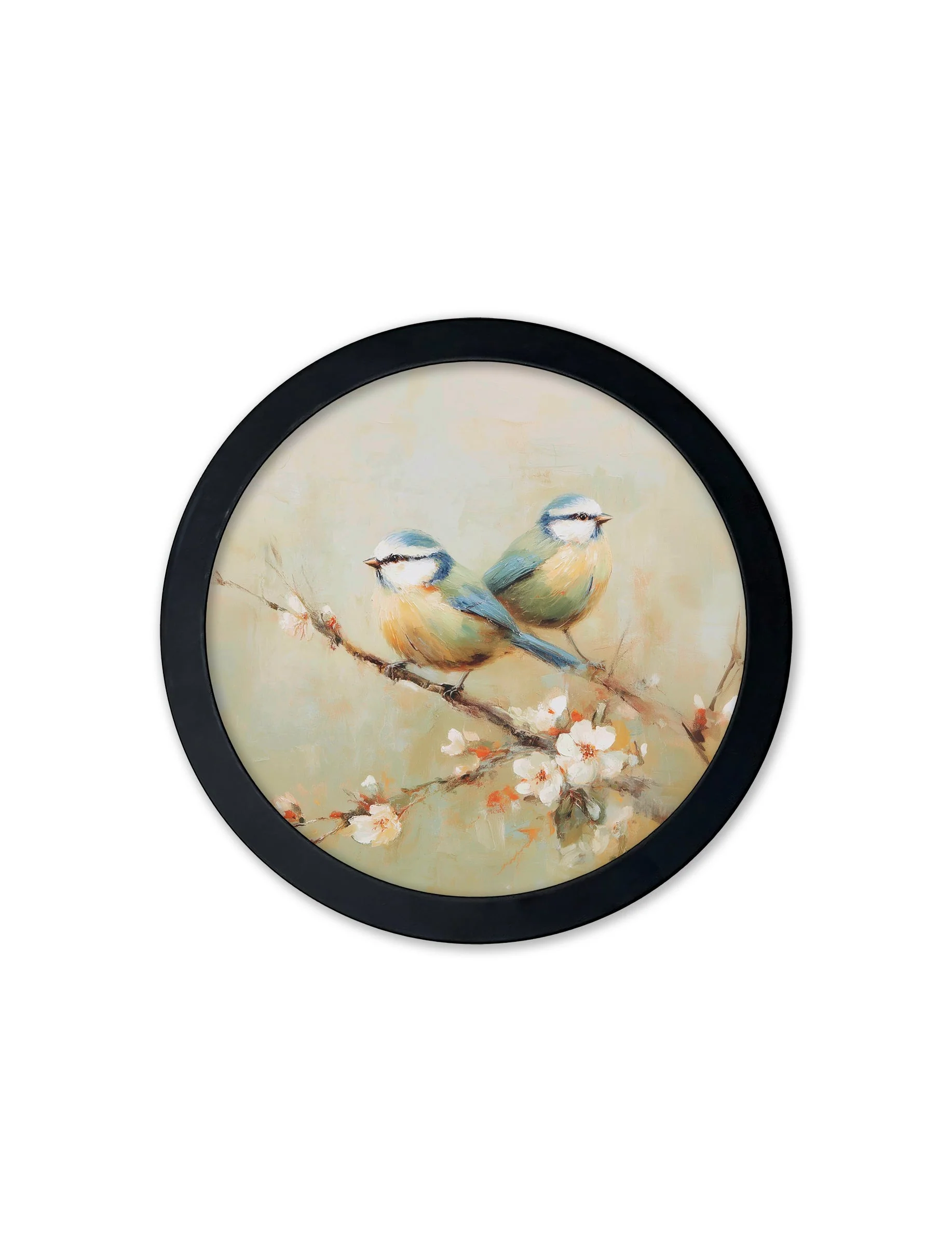 Garden Birds Print – Black Round Box Frame – Set of 8 - Image 7