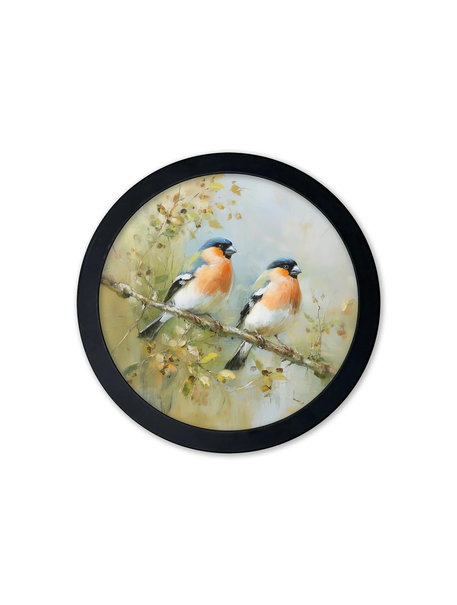 Garden Birds Print – Black Round Box Frame – Set of 8 - Image 8