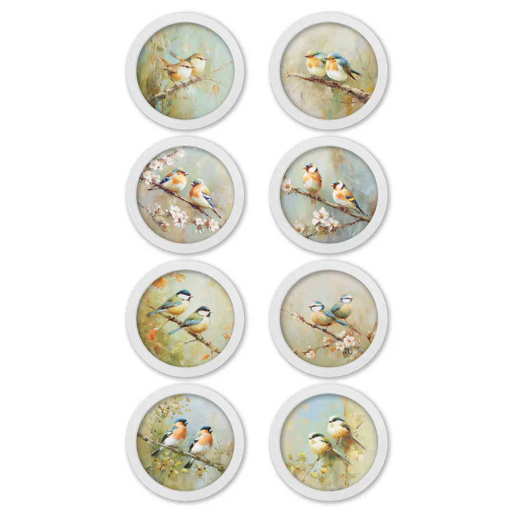 Garden Birds Print – White Round Box Frame – Set of 8