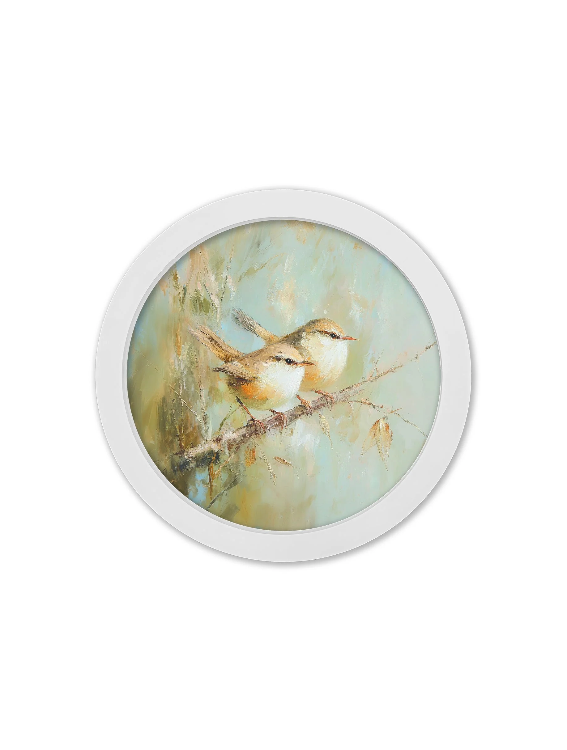 Garden Birds Print – White Round Box Frame – Set of 8 - Image 2