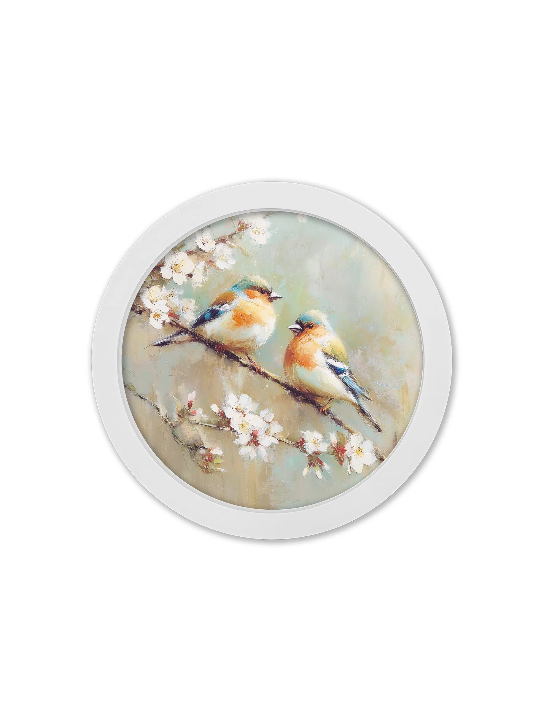 Garden Birds Print – White Round Box Frame – Set of 8 - Image 4