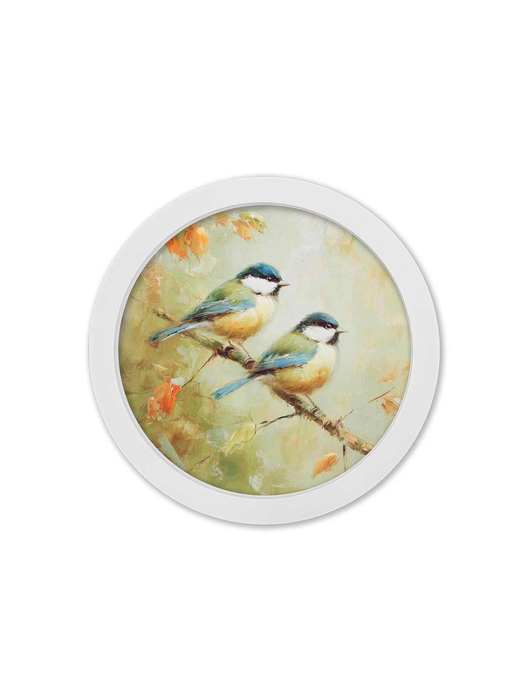 Garden Birds Print – White Round Box Frame – Set of 8 - Image 6
