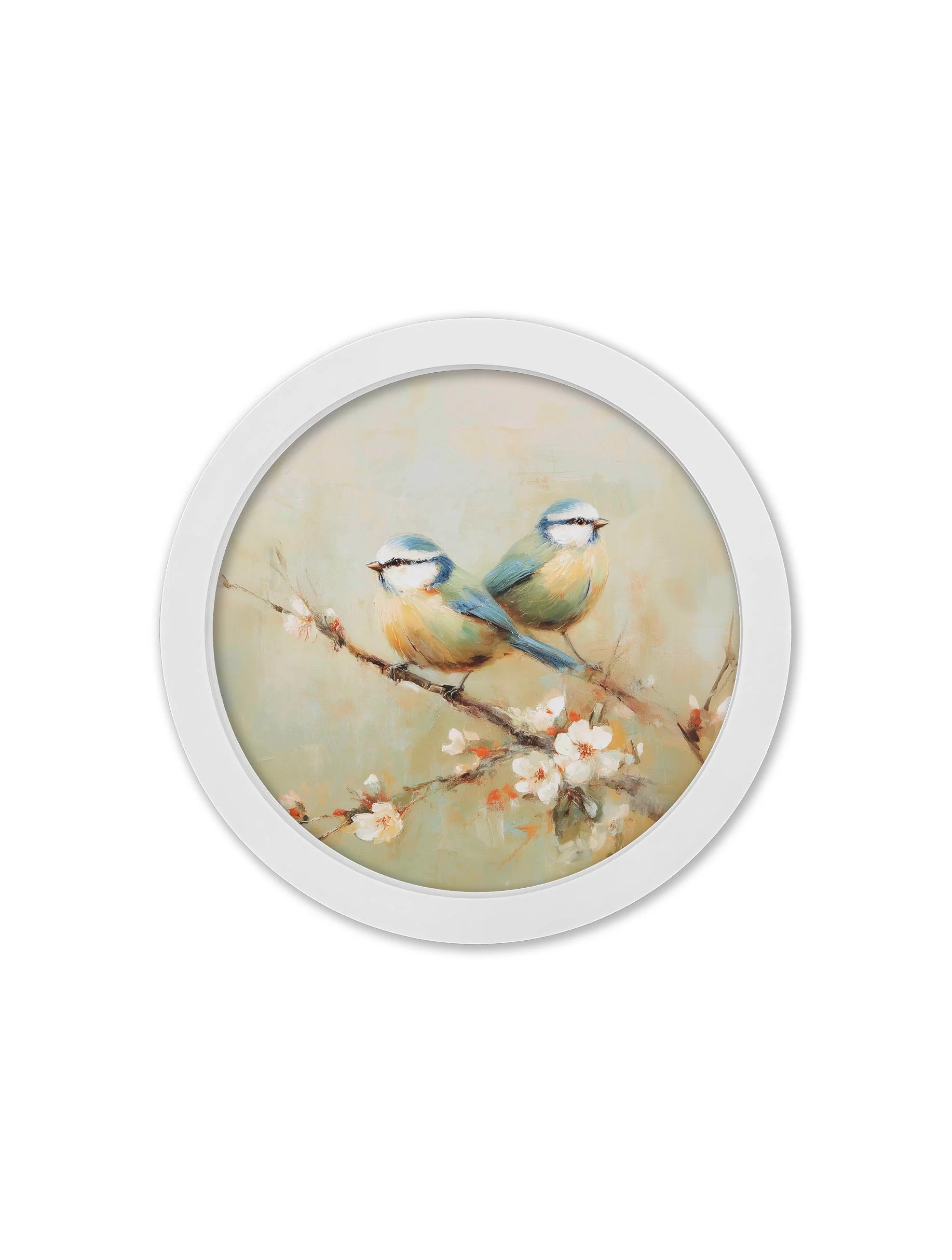 Garden Birds Print – White Round Box Frame – Set of 8 - Image 7