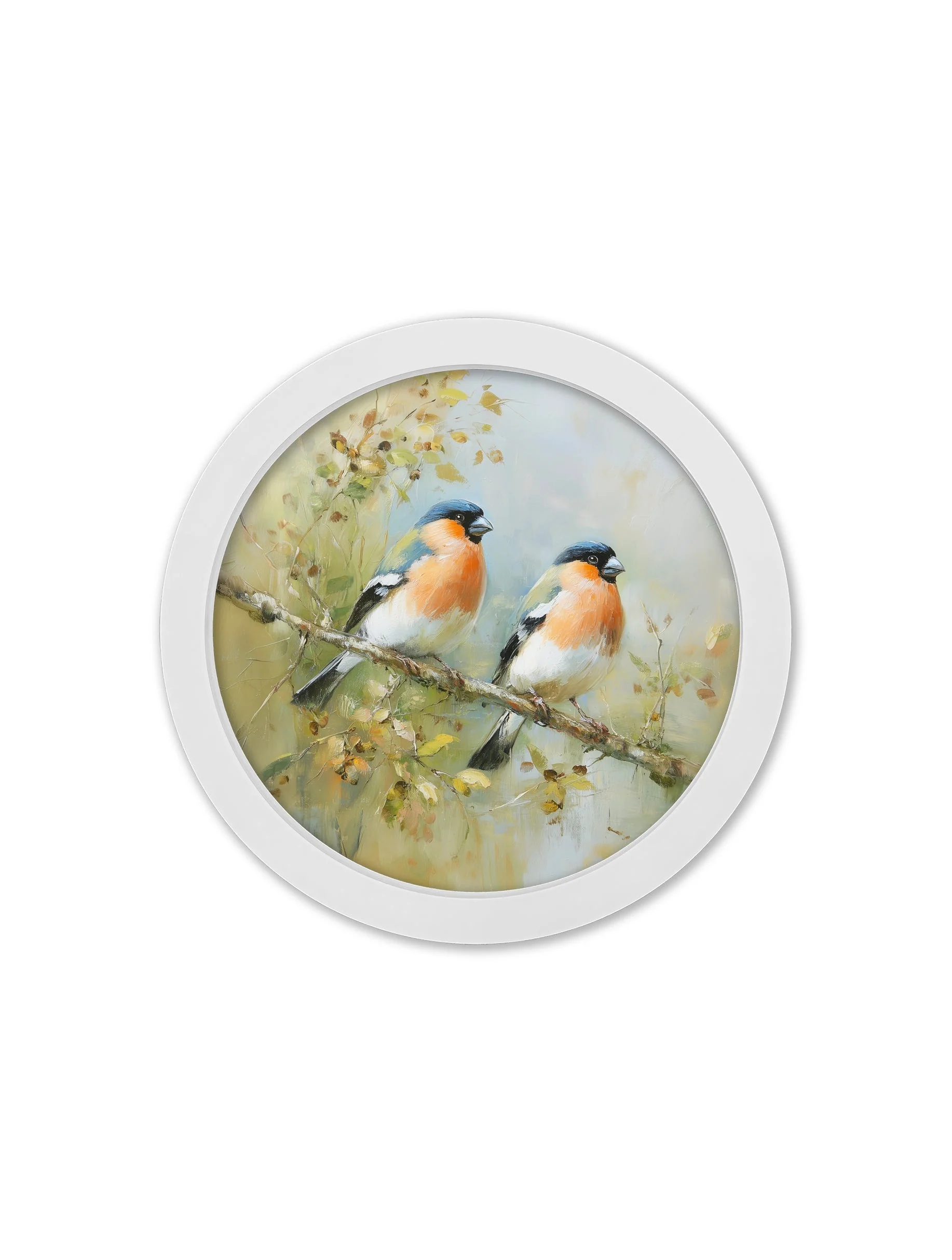 Garden Birds Print – White Round Box Frame – Set of 8 - Image 8
