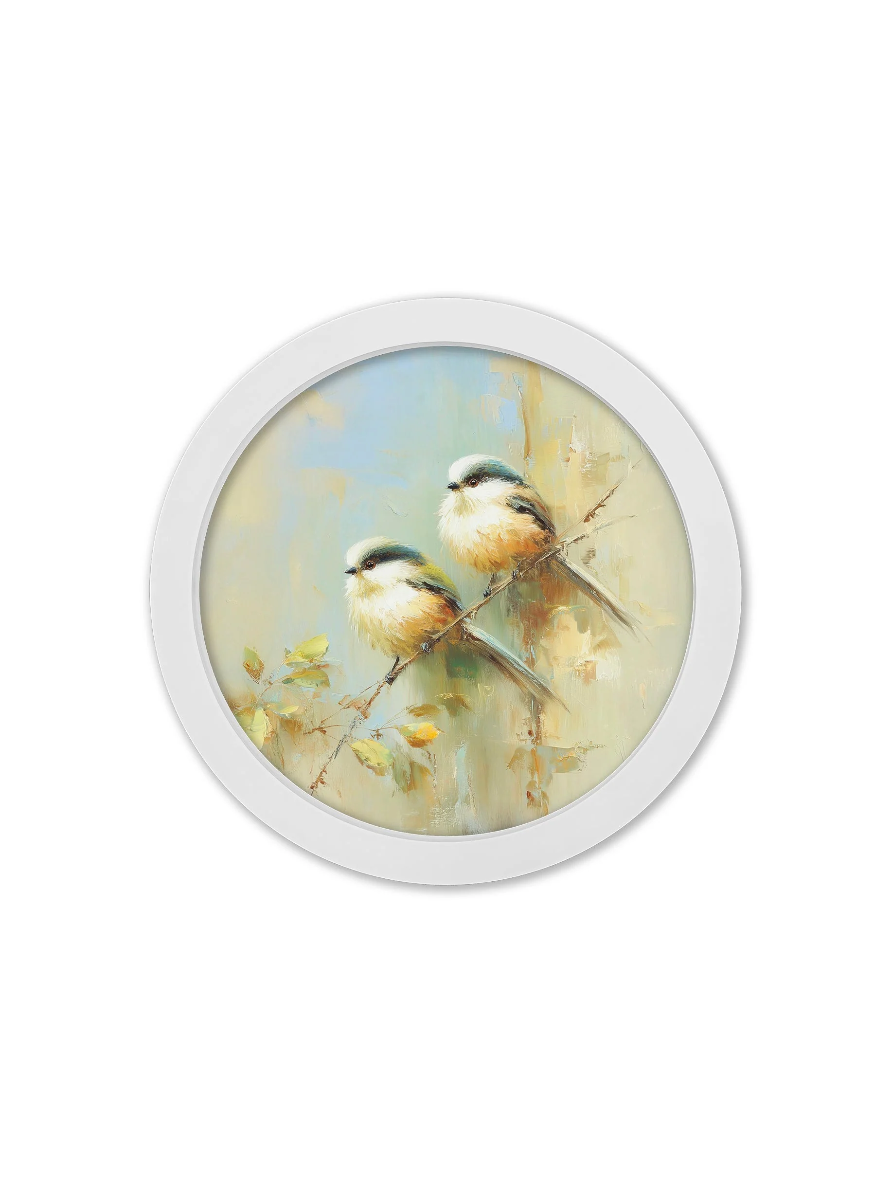 Garden Birds Print – White Round Box Frame – Set of 8 - Image 9
