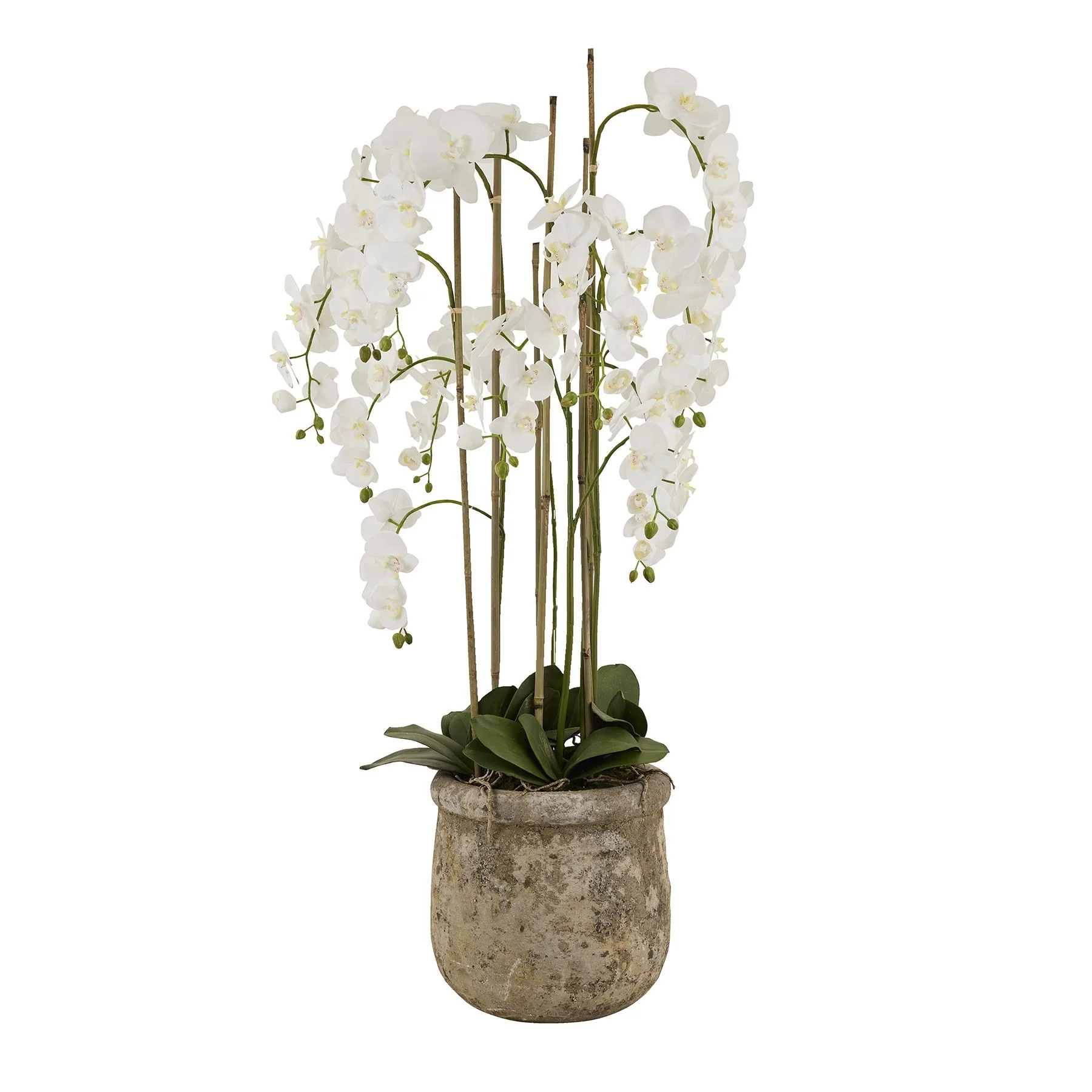 Hill Interiors Large Faux White Orchid in Stone Pot