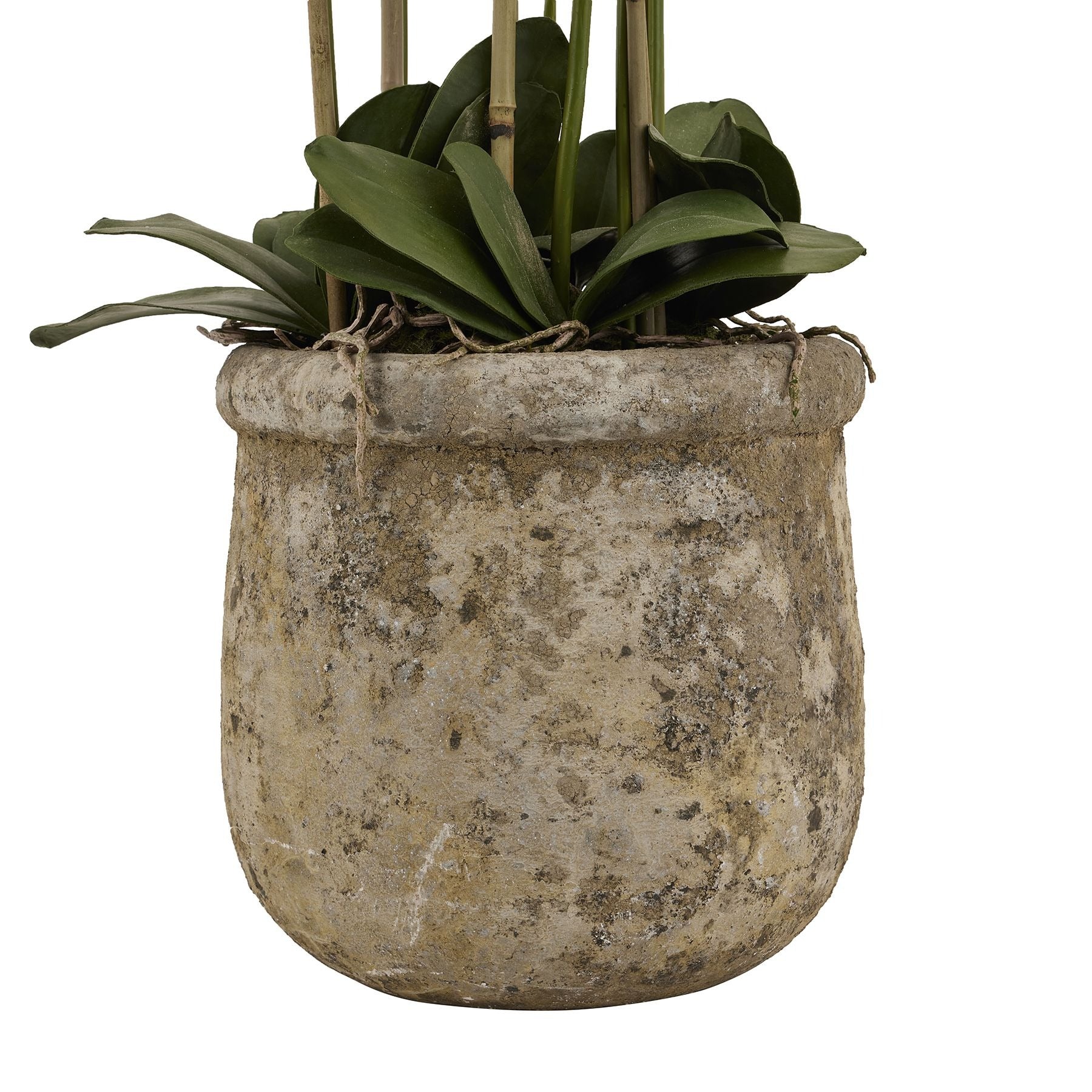 Hill Interiors Large Faux White Orchid in Stone Pot - Image 3