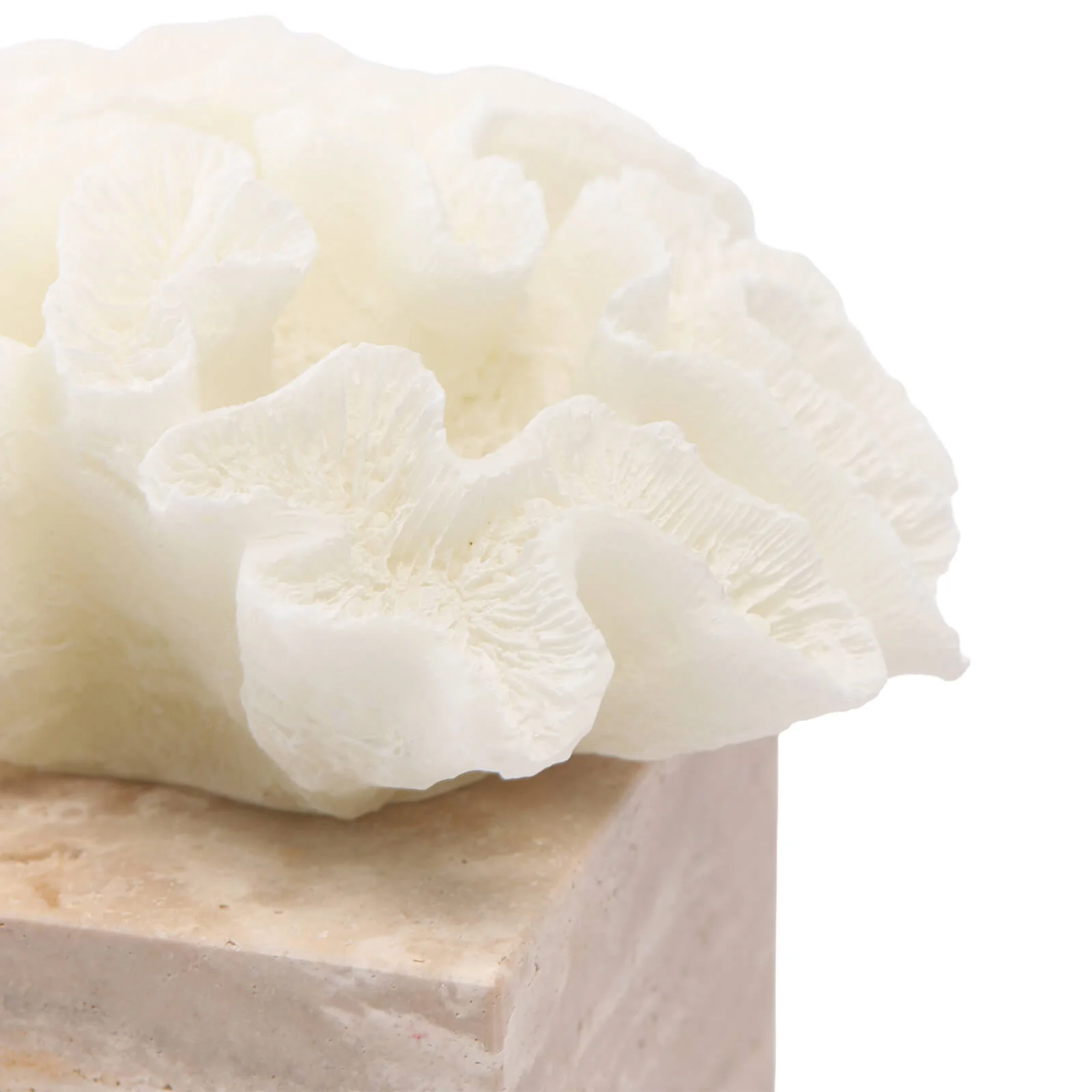 Keiichi Luma Coral Ornament - Image 5