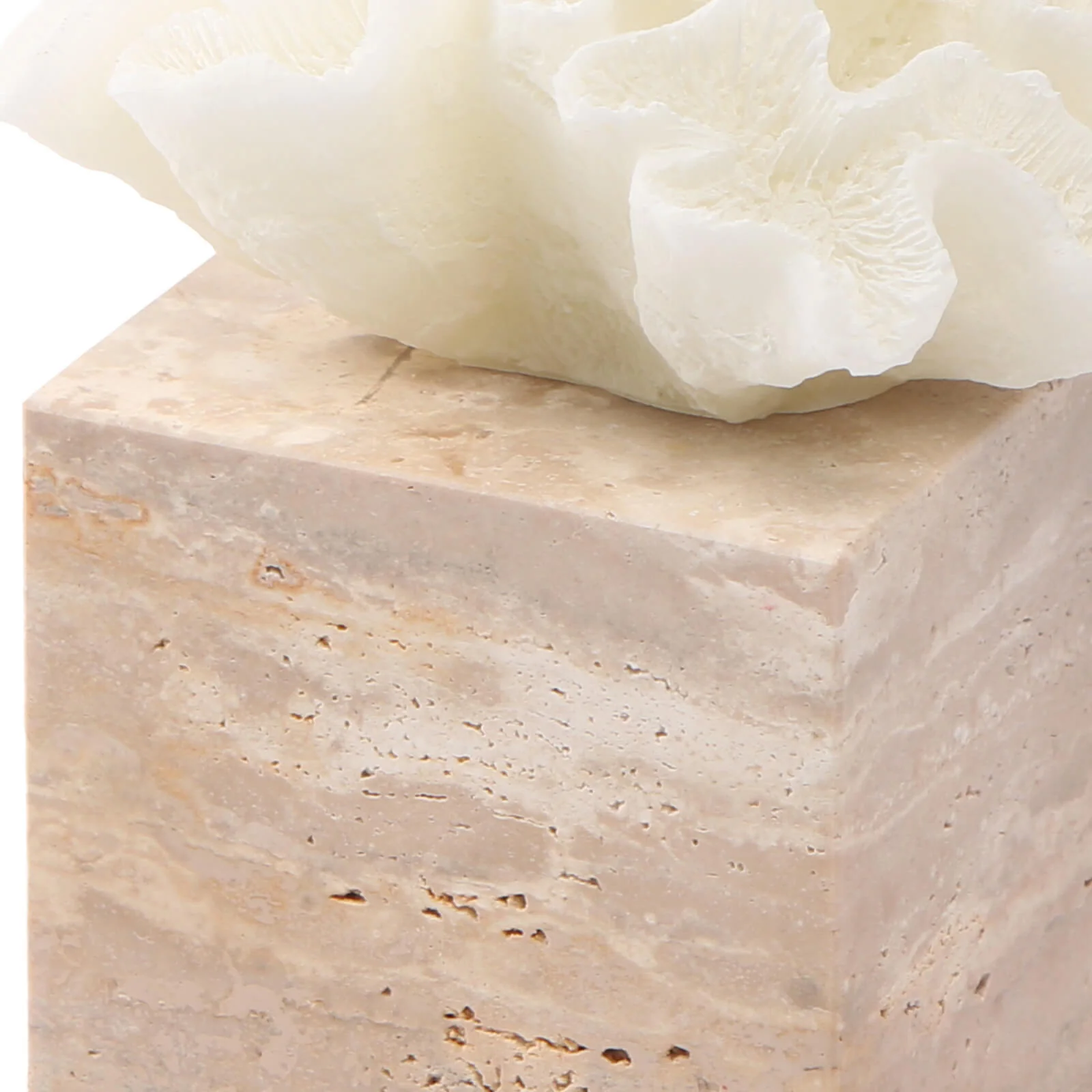 Keiichi Luma Coral Ornament - Image 6