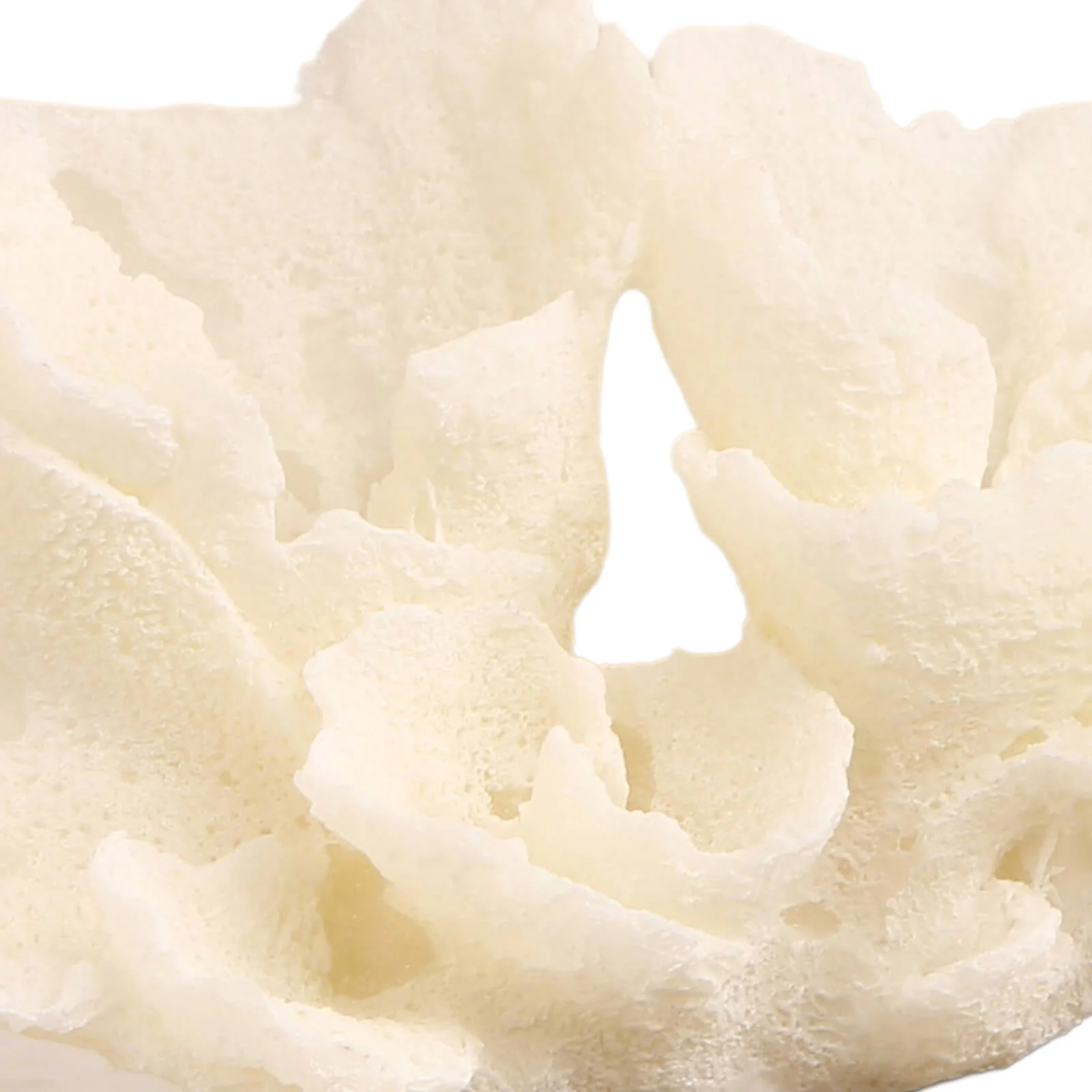 Keiichi Raize Artificial Coral Sculpture - Image 6