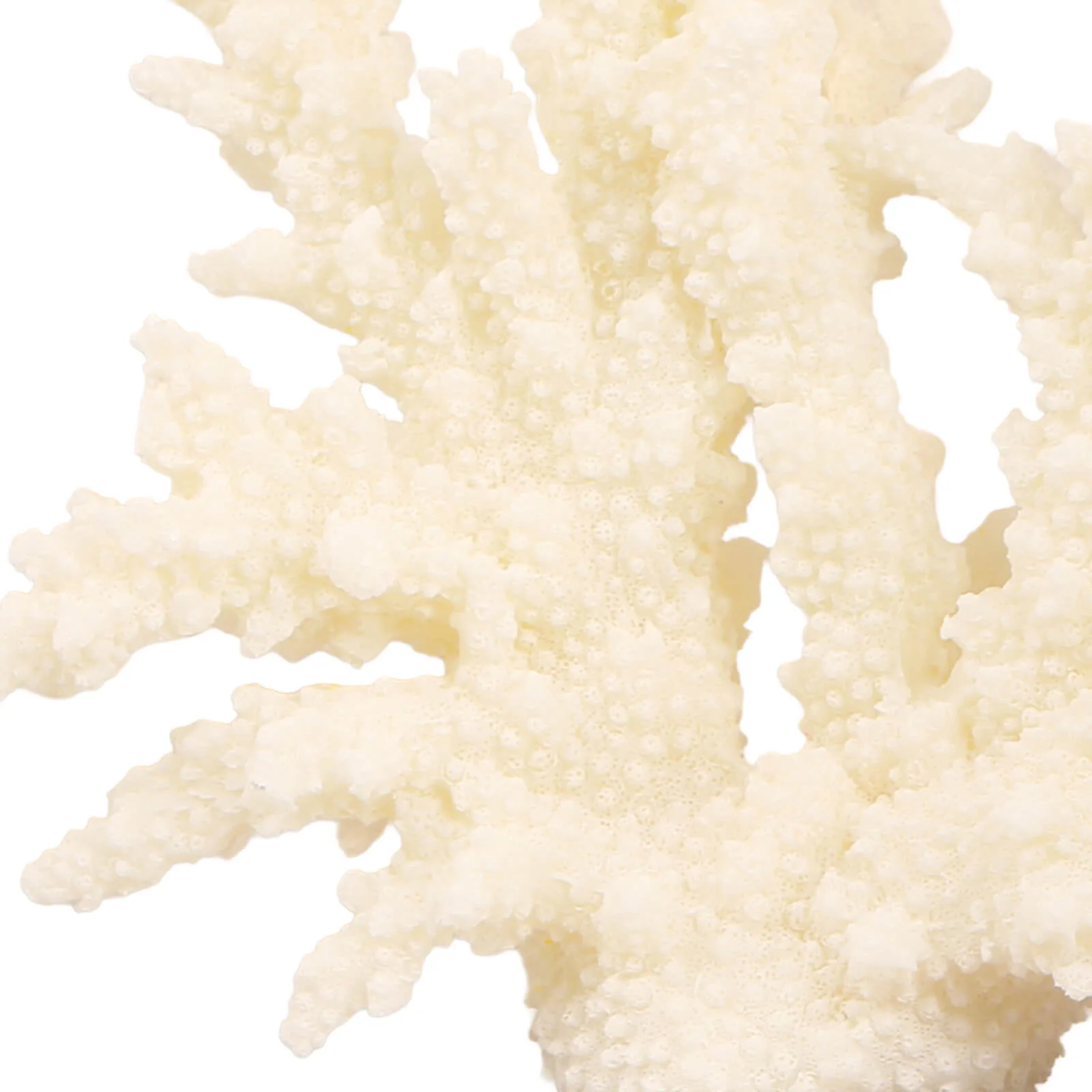 Keiichi Raize Artificial Coral Sculpture - Image 7