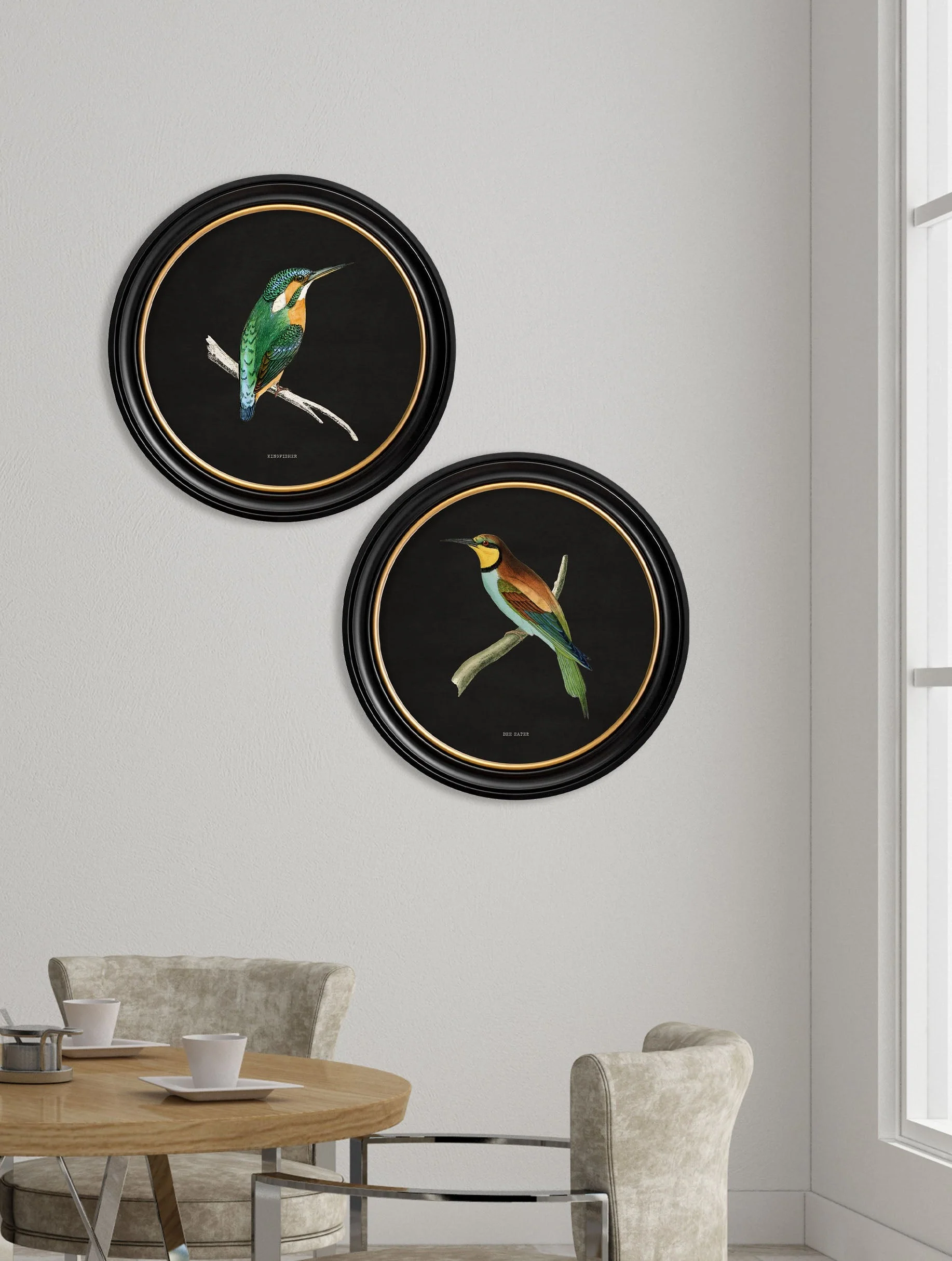 Kingfisher & Bee Eater with Black Background – Oxford Round Framed Print - Image 4