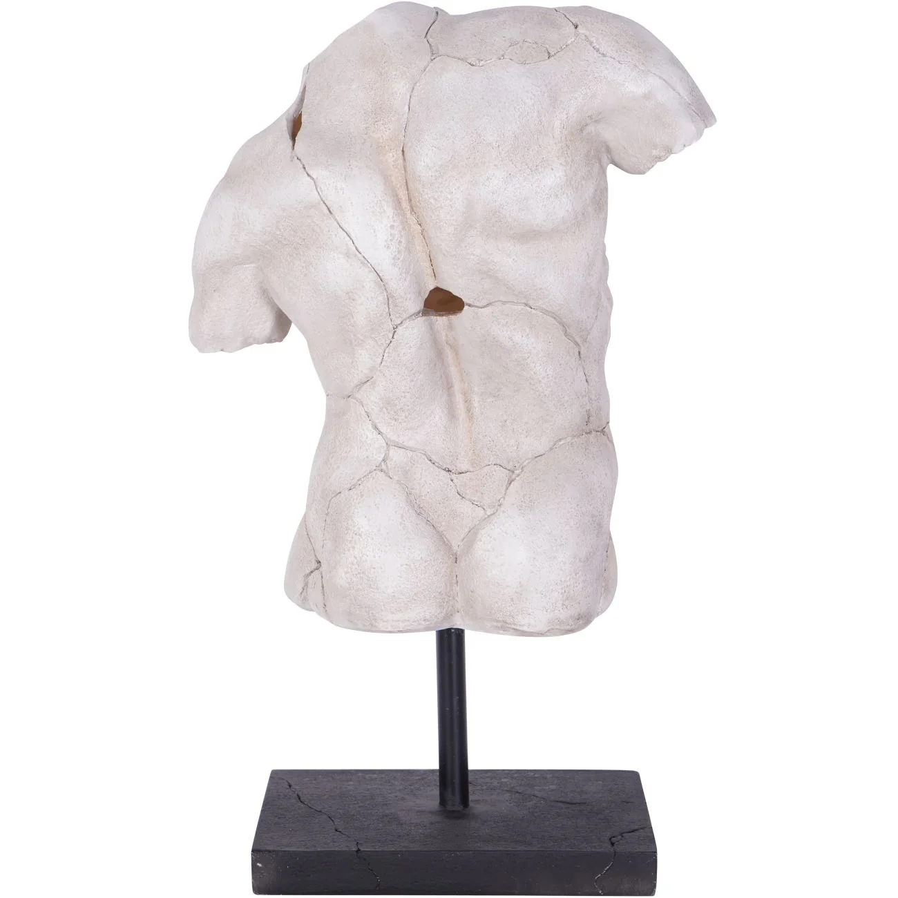 Libra Interiors Male Torso Sculpture - Image 3