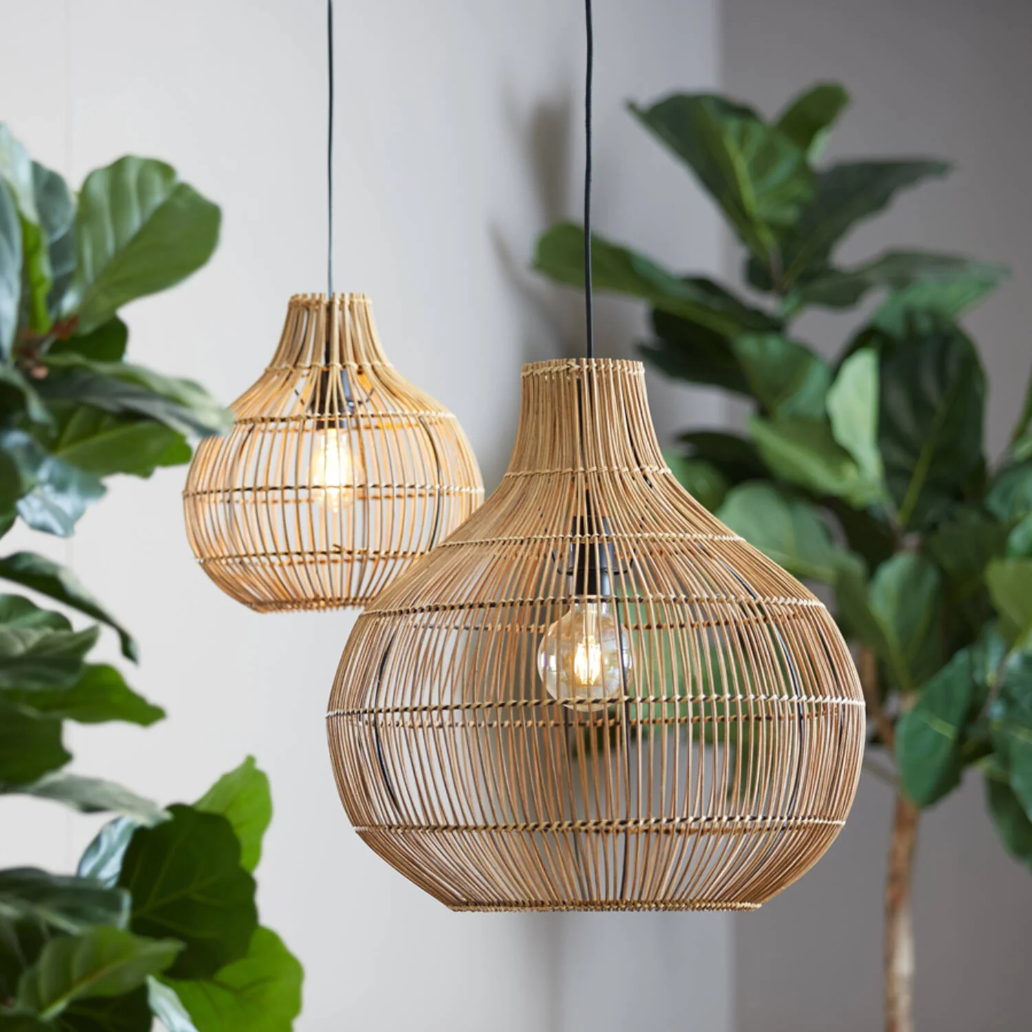 Light & Living Pacino Rattan Hanging Lamp – Small - Image 2