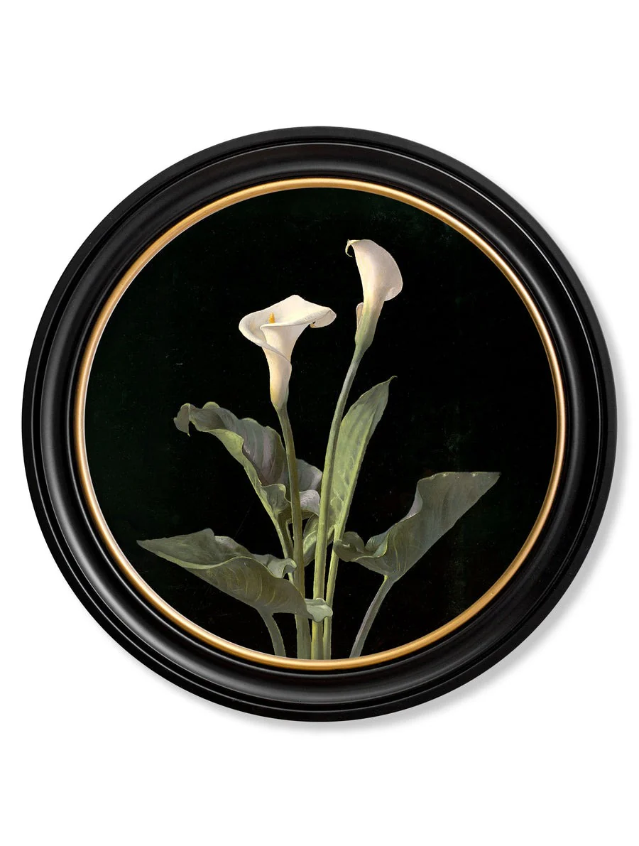 Lilies by George Cochran Lambdin – Oxford Round Framed Print - Image 2