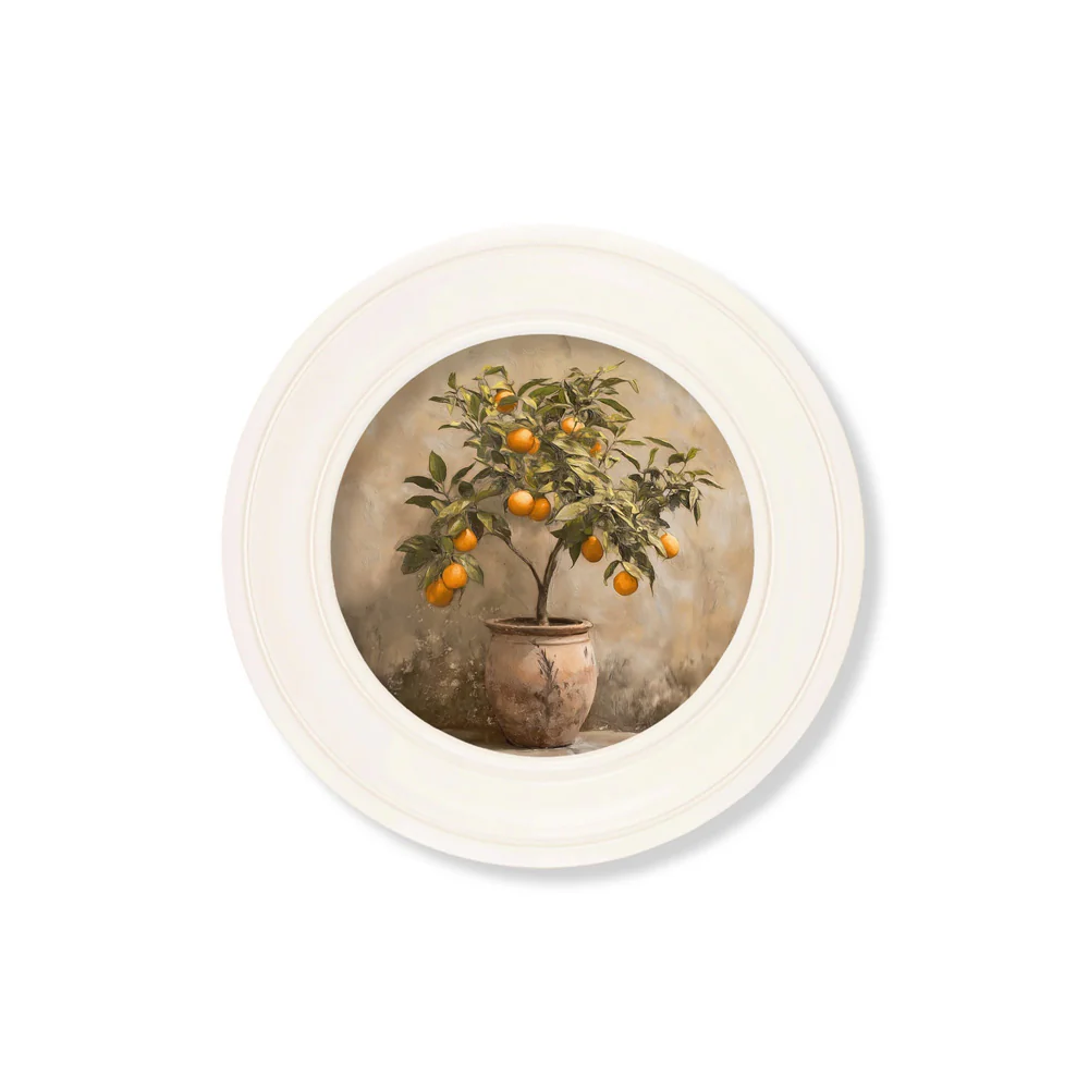 Mediterranean Orange Tree – Oxford Strong White Round Frame