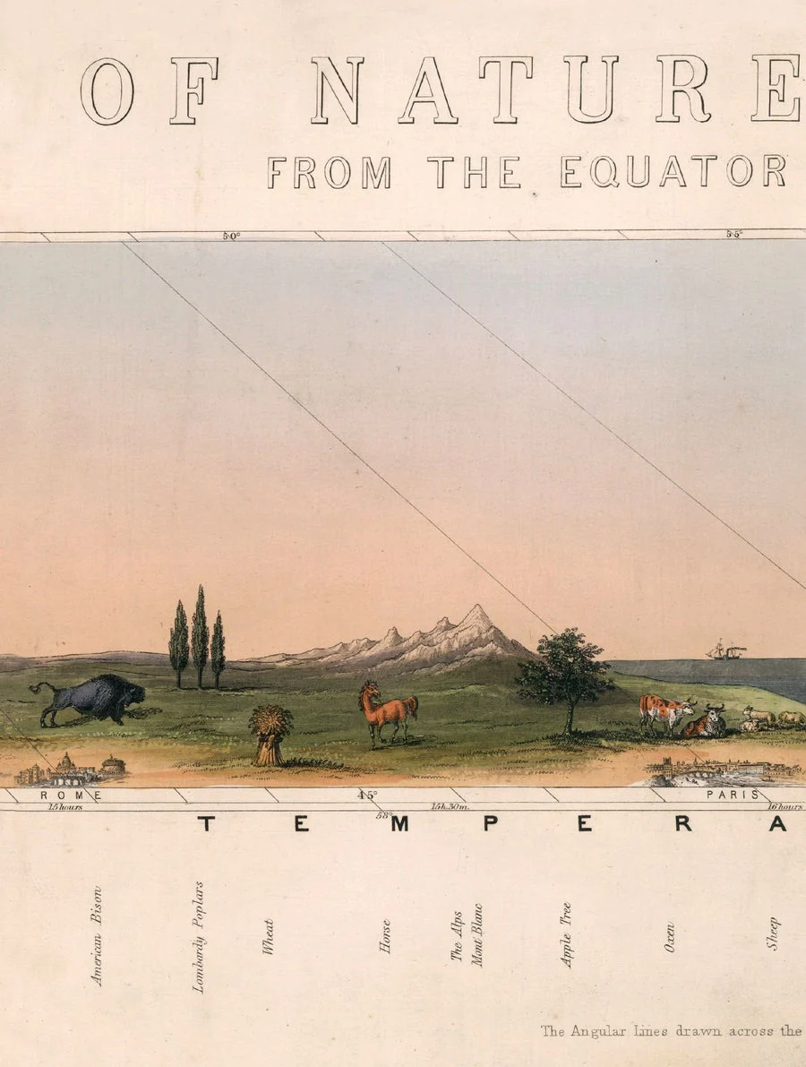 View of Nature in all Climates - From the Equator to the Arctic Circle – Oxford Framed Print - Image 5
