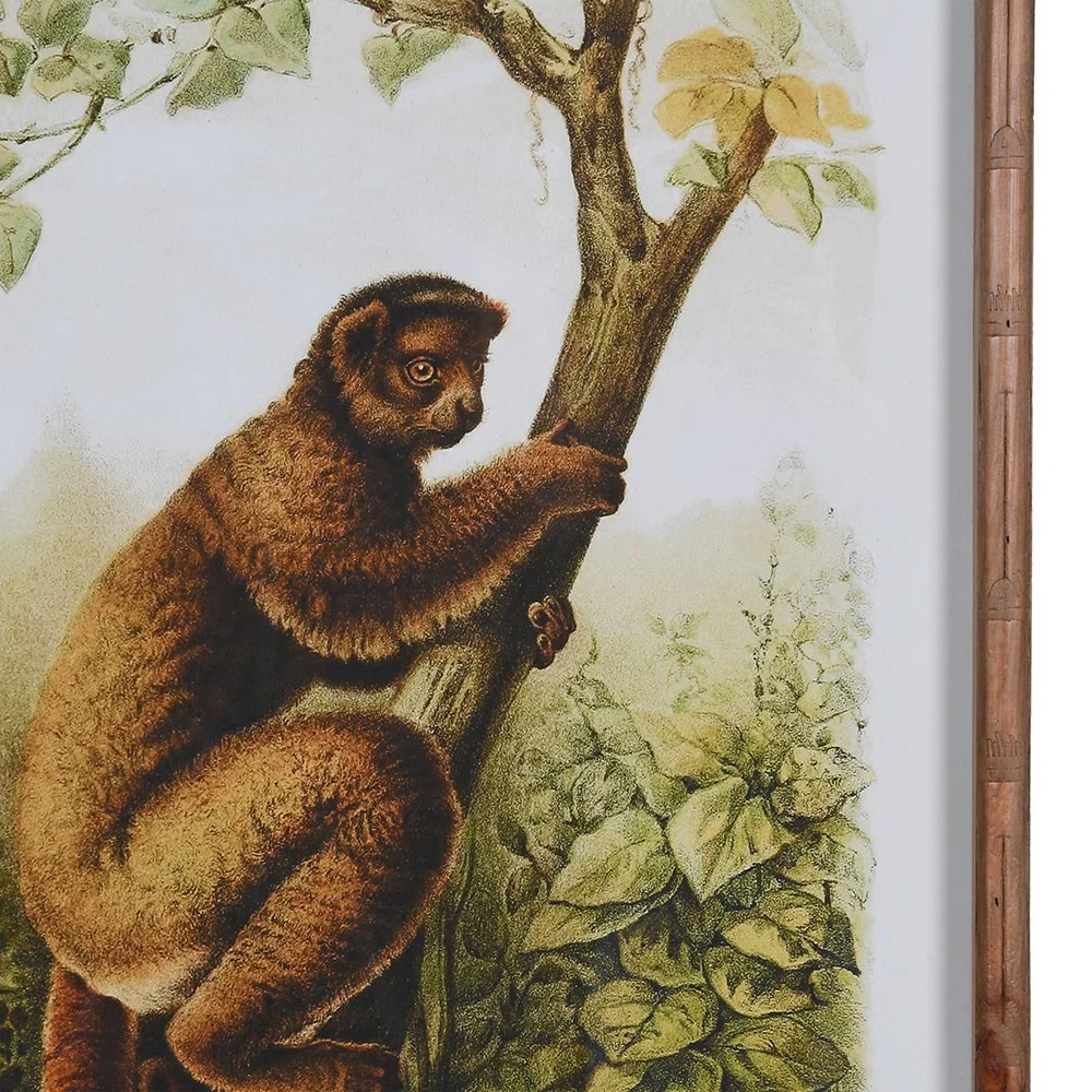 Wild Lemur Wall Art – Set of 4 - Image 2